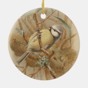 Vintage-Illustration einer Blaumeise Keramik Ornament