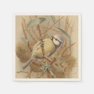 Vintage-Illustration einer Blaumeise Serviette