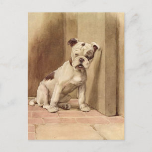 Vintage-Illustration einer Bulldoggen-Welpe Postkarte