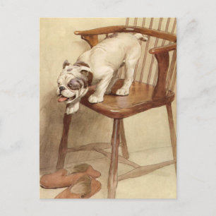 Vintage-Illustration einer Bulldoggen-Welpe Postkarte