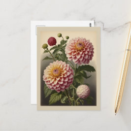Vintage-Illustration einer Dahlie Postkarte