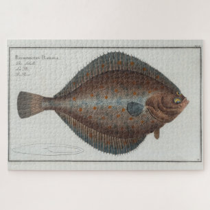 Vintage Illustration einer Hochwasserfische (1785)