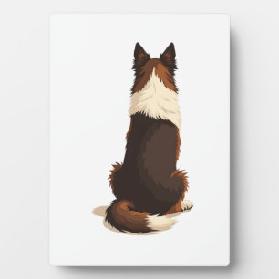 Vintage-Illustration eines Border Collies von hint Fotoplatte