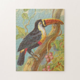 Vintage Illustration eines Toucan (1889)