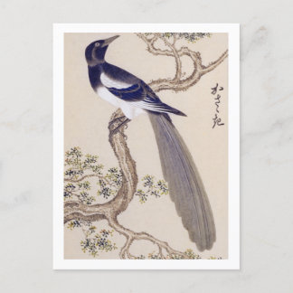 Vintage-Illustration: Elster Postkarte