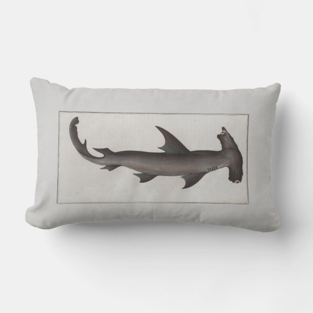 Vintage Illustration Hammerhead Shark Lendenkissen (Vorderseite)