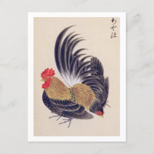 Vintage-Illustration: Japanisches Zwerghuhn Postkarte