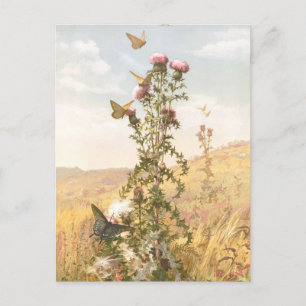 Vintage Illustration mit Thistle und Schmetterling Postkarte