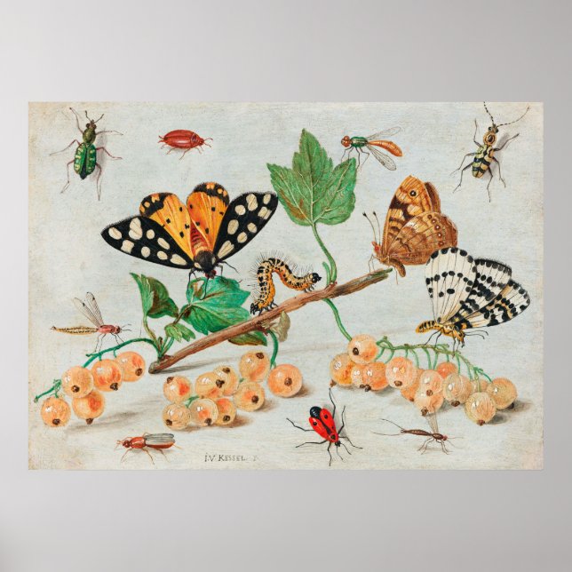 Vintage illustration of butterflies on berries poster (Vorne)