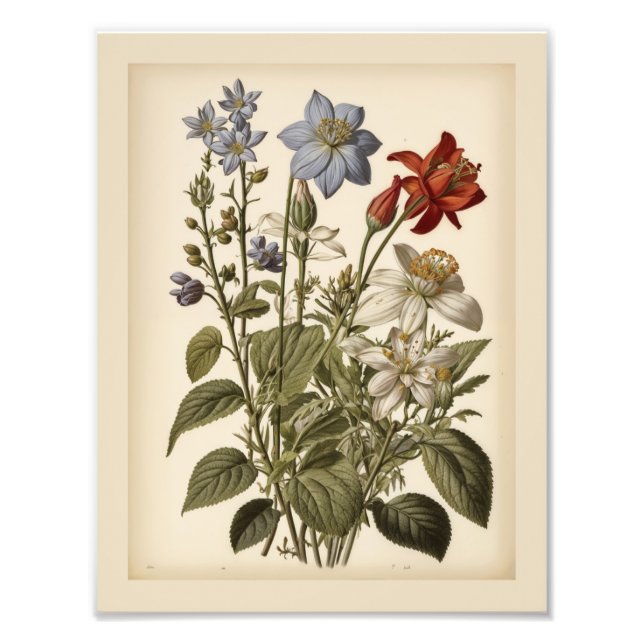 Vintage illustration of wildflowers  fotodruck (Vorne)