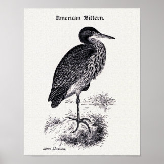 Vintage Illustration Poster
