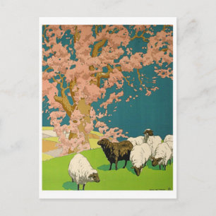 Vintage Illustration Postkarte