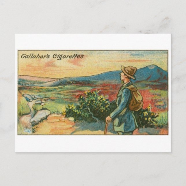 Vintage Illustration Postkarte (Vorderseite)