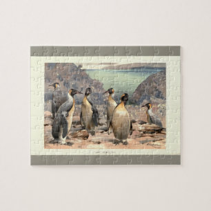 Vintage-Illustration riesiger Pinguine Antarktis