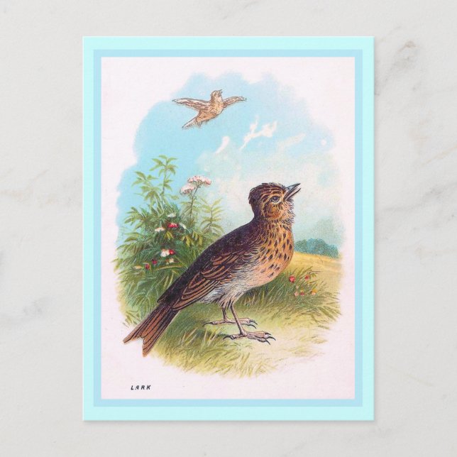 Vintage Illustration "The Lark" Postkarte (Vorderseite)