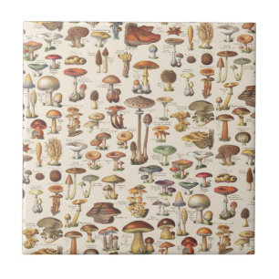 Vintage-Illustration von Pilzen Fliese