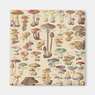 Vintage-Illustration von Pilzen Magnet