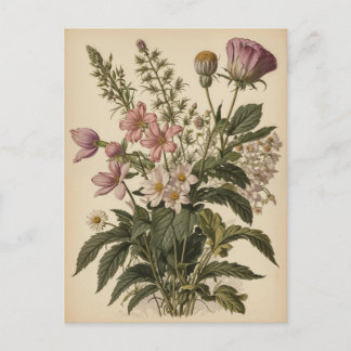Vintage-Illustration von Wildblumen Postkarte