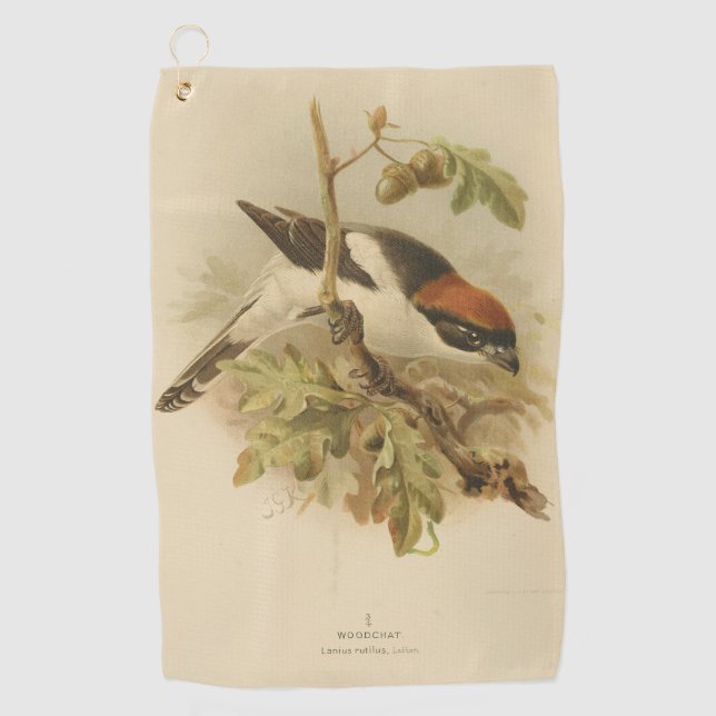 Vintage Illustration von Woodchat Shrike Golfhandtuch (Vorderseite)