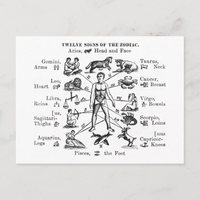 Vintage Illustration Zwölf Zeichen des Zodiaks Postkarte (Vorderseite)