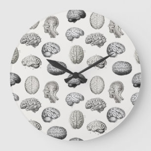 Vintage-Illustrationen der Gehirn Anatomie Biologi Große Wanduhr