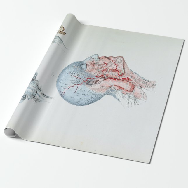 Vintage Illustrations-Anatomie-menschlicher Kopf Geschenkpapier (Ungerollt)