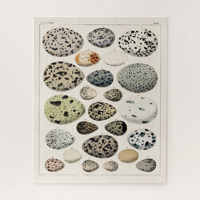 VINTAGE ILLUSTRATIONSBIRDS EIER JIGSAW (Vertikal)