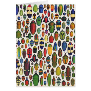 Vintage Illustrierte Käfer