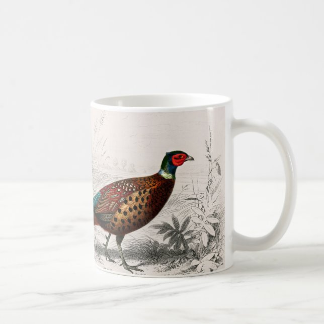 Vintage illustrierte kaffeetasse (Rechts)