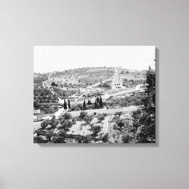 Vintage Image des Berges der Oliven, Jerusalem Leinwanddruck (Vorderseite)