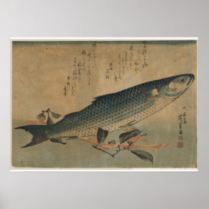 Vintage Image of Japanese Striped Mullet - Leinwan Poster