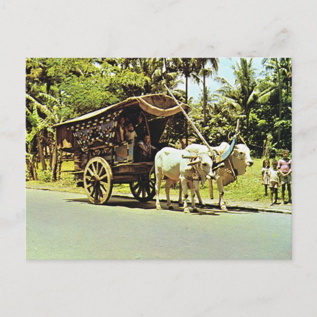 Vintage Indonesien, Gerobag, Zentraljava Postkarte (Vorderseite)