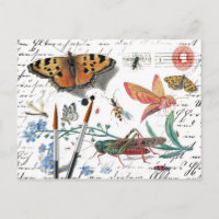 Vintage Insekt Letter and postmark