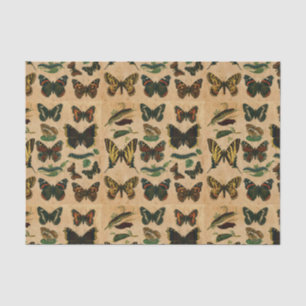 Vintage Insekten Schmetterlingssammlung Seidenpapier