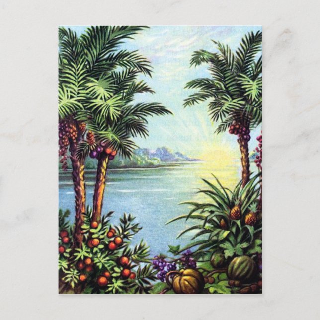 Vintage Island Postkarte (Vorderseite)