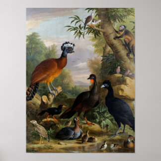 Vintage Jakob Bogdani Vögel in einer Landschaft Poster