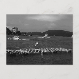 Vintage Japan Mie Mikimoto Pearl Island Blick Postkarte