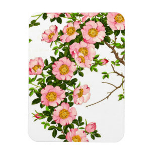Vintage japanische Kirschblüten, Rosa und Gold Magnet