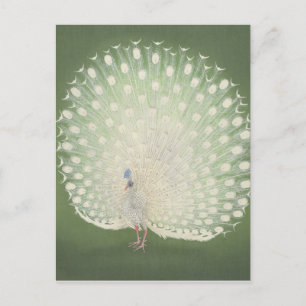 Vintage japanische Kunst   Pfau Postkarte