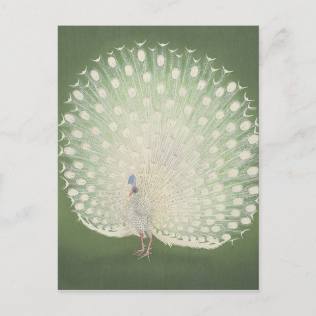 Vintage japanische Kunst | Pfau Postkarte (Vorderseite)