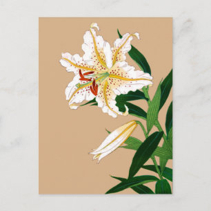 Vintage japanische Liliy. Weiß, Grün und Beige Postkarte