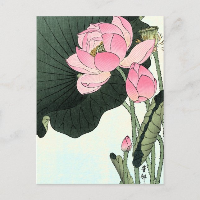 Vintage japanische Lotus-Blume Postkarte (Vorderseite)