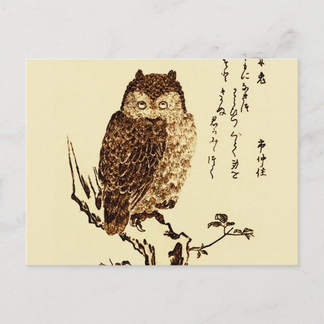 Vintage japanische Tintenzeichnung einer Eule Postkarte (Vorderseite)