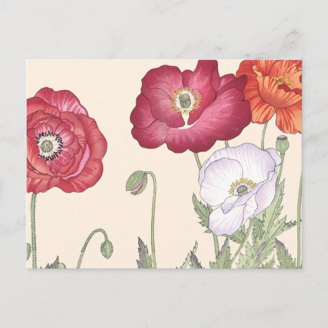 Vintage japanische Ukiyo Art Poppy Blume Postkarte (Vorderseite)