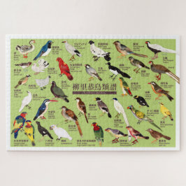 Vintage Japanische Vogelatlas-Illustration