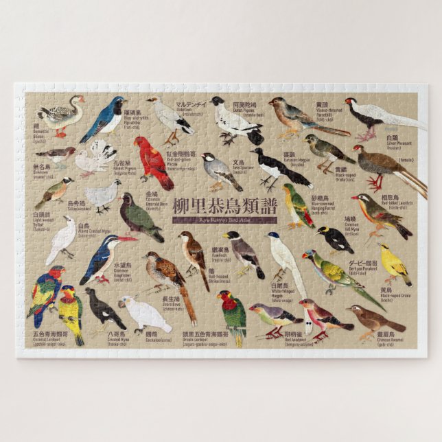 Vintage Japanische Vogelatlas-Illustration (Horizontal)