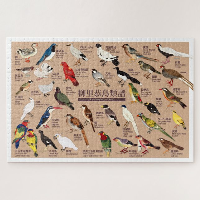 Vintage Japanische Vogelatlas-Illustration (Horizontal)