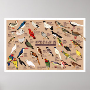 Vintage Japanische Vogelatlas-Illustration Poster