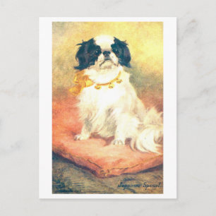 Vintage Japanischer Spaniel Postkarte