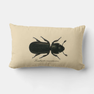 Vintage Käfer-Entomologie-Revers. Lendenkissen